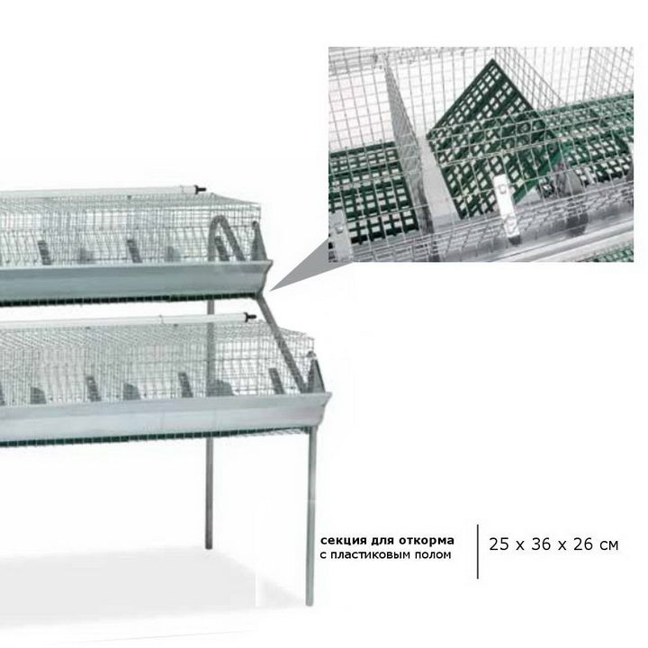 Премущества клетки для кроликов от Contro Fratelli (Италия)